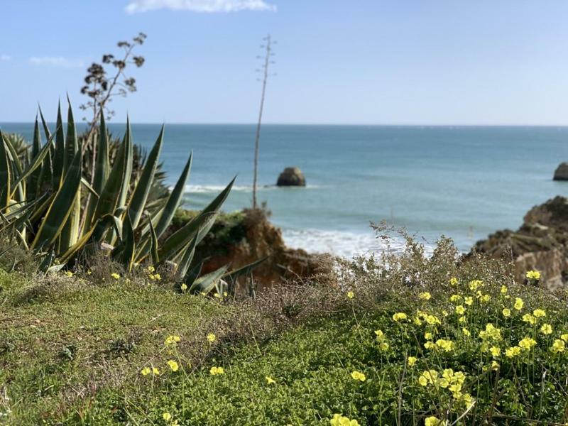Luz Paradise Dış mekan fotoğraf
